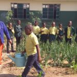 WhatsApp Image 2020-10-13 at 11.35.18 AM